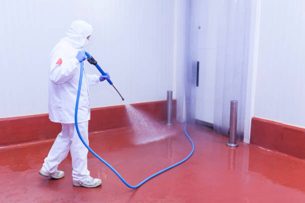 Reliable Dundee, FL Pressure Washing Solutions