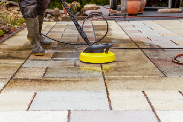 Animal Enclosure Cleaning in Dundee, FL